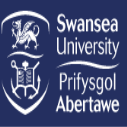 http://www.ishallwin.com/Content/ScholarshipImages/127X127/Swansea University-5.png